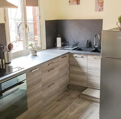 Tatil Evi Le Familial Kintzheim